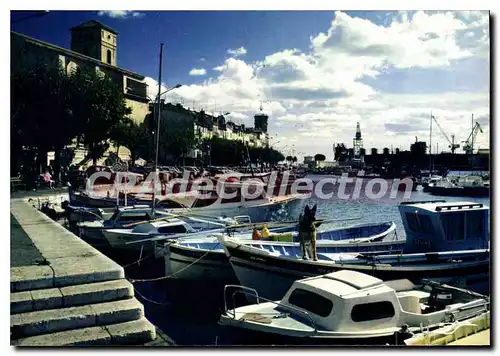 Cartes postales moderne La Ciotat Le Vieux Port