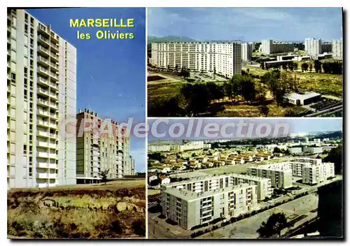 Cartes postales moderne Marseille Cite Les Oliviers