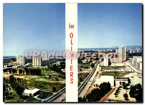 Cartes postales moderne Marseille les Oliviers