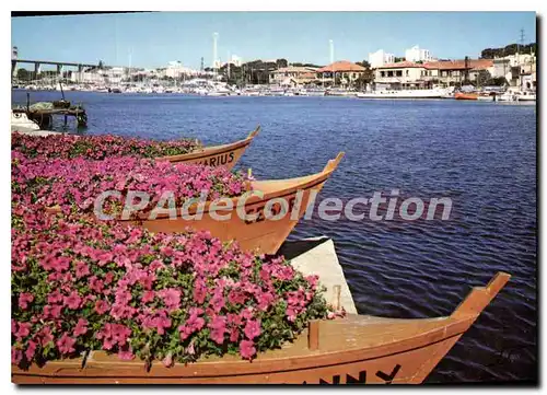 Cartes postales moderne Martigues La Venise Provencale