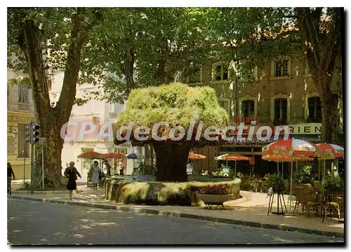 Cartes postales moderne Salon De Provence Fontaine Moussue