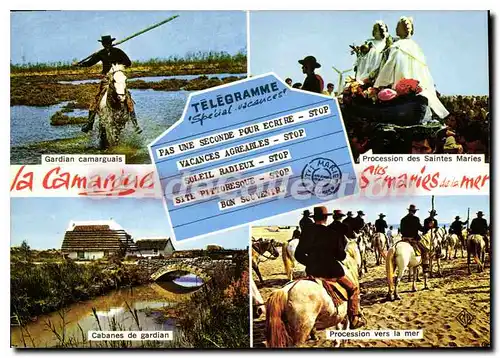 Cartes postales moderne Saintes-Maries de la mer procession gardian