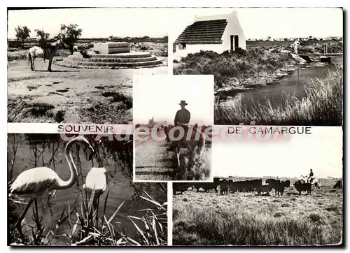 Cartes postales moderne Souvenir De Camargue Le Tombeau Du Marquis Gardians Ste-Maries