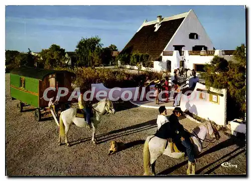 Moderne Karte Camargue Scene Folklorique