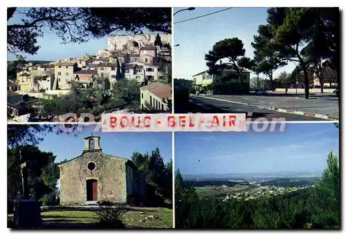 Cartes postales moderne Bouc Bel Air Souvenir De