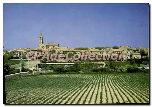 Cartes postales moderne Saint Cannat Vue Generale