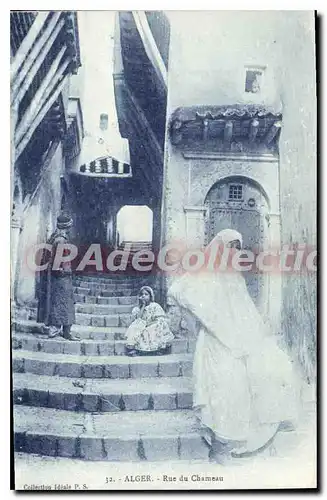 Cartes postales Alger Rue Du Chameau