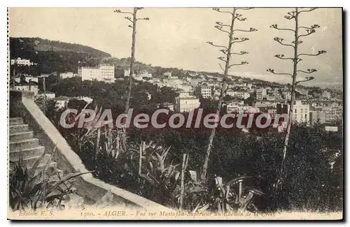 Cartes postales Alger Vue Sur Mustapha Sup�rieur Du chemin de la croix