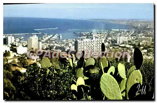 Cartes postales Alger Panorama