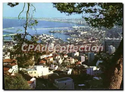 Ansichtskarte AK Alger Vue Panoramique