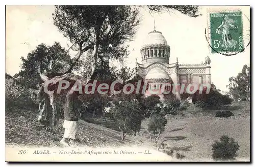 Cartes postales Alger Notre Dame D'Afrique Entre les Oliviers