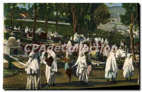 Cartes postales Alger Le Vendredi Au Cimetiere D' El Kettar