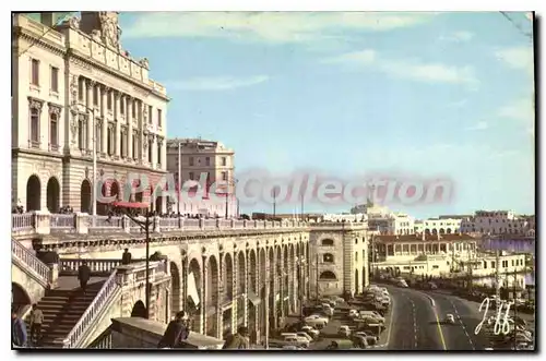 Cartes postales Alger Le Front De Mer