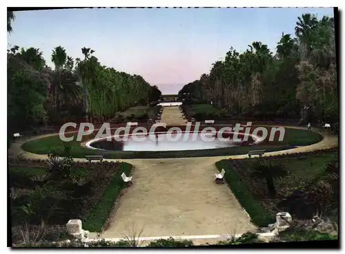 Cartes postales Alger Jardin D'Essai