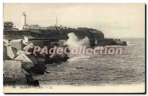 Cartes postales Alger Le M�le