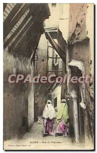 Cartes postales Alger Rue Du Chameau
