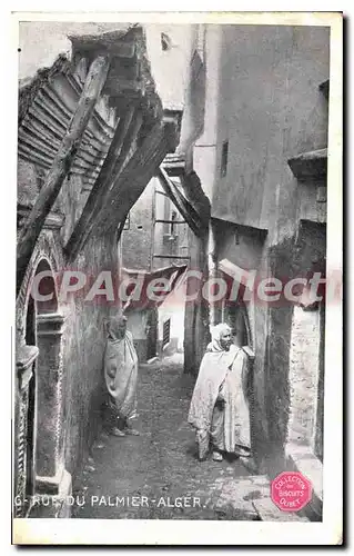 Cartes postales Alger Rue Du Palmier
