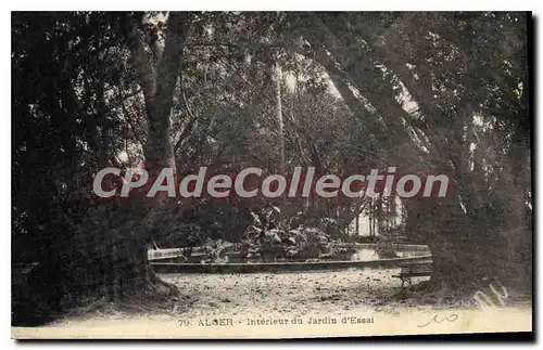 Cartes postales Alger Interieur Du Jardin D'Essai