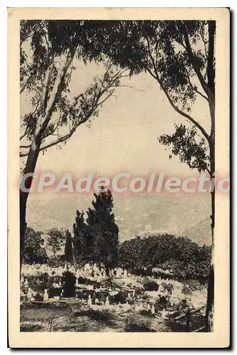 Cartes postales Alger cimetiere indig�ne d'El-Kettar