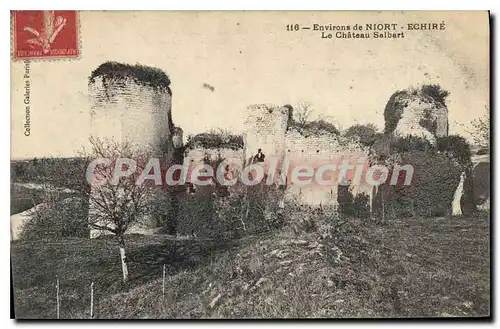 Cartes postales Niort Echire Le Chateau Salbart