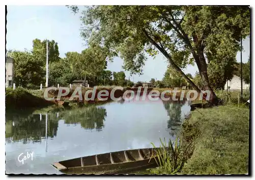 Cartes postales moderne La Venise Verte Le Grand Canal Et La Sevre