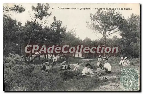 Cartes postales Cayeux Sur Mer Le Repos Dans Le Bois De Sapins