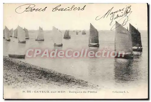 Cartes postales Cayeux Sur Mer Barques De Peche