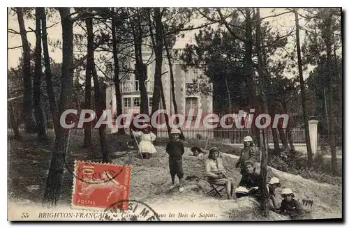 Ansichtskarte AK Cayeux Sur Mer Dans Les Bois De Sapins