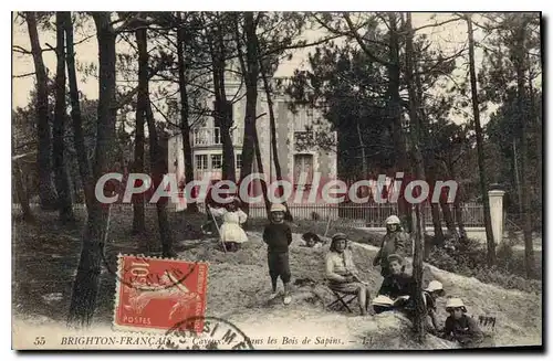 Cartes postales Cayeux Sur Mer Dans Les Bois De Sapins