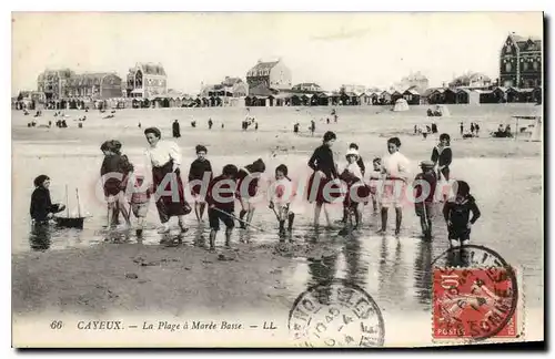 Cartes postales Cayeux La Plage A Maree Basse