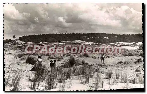 Cartes postales Quend Plage Les Dunes Et Le Bois De Pins