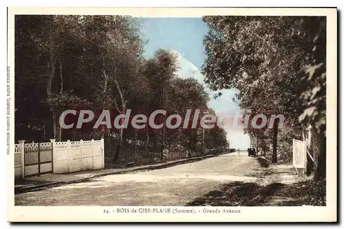 Cartes postales Bois De Cise Plage Grande Avenue