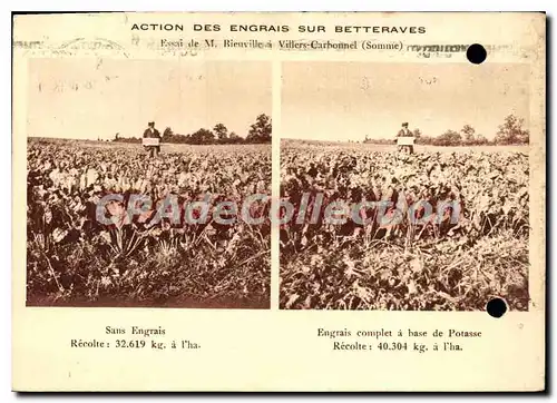 Moderne Karte essai de Bieuville � Villers Carbonnel action des engrais sur betteraves potasse