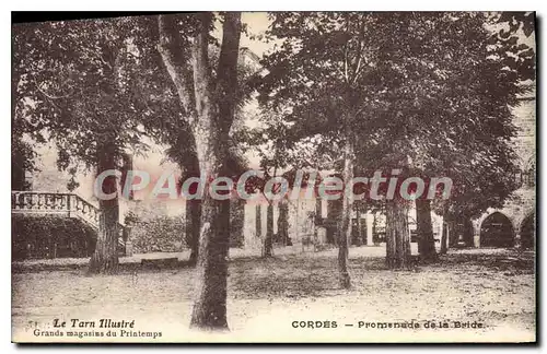 Cartes postales Cordes Promenade De La Bride