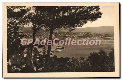 Cartes postales Bandol Echappee Sur Le Port