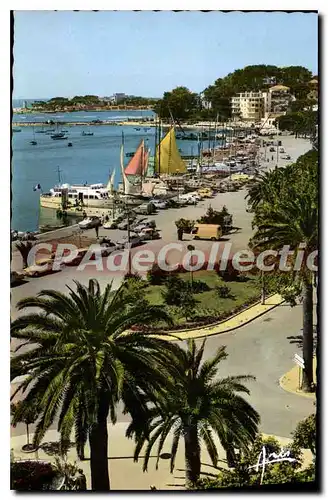 Cartes postales Bandol Les Jardins Et Quais