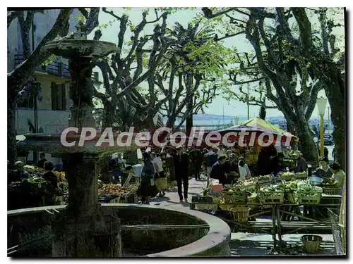 Cartes postales moderne Bandol Le March� Provencal Place De I'Eglise