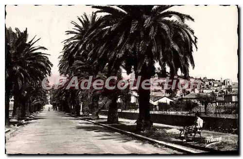 Cartes postales Hyeres Les Palmiers Avenue Godillot