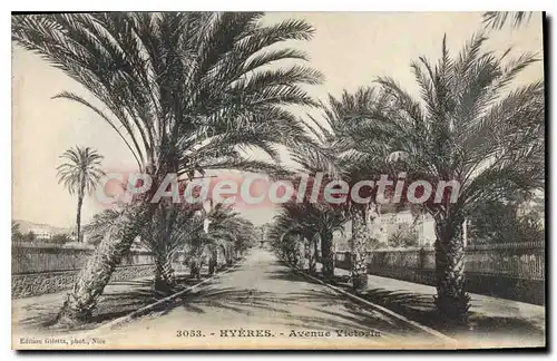 Cartes postales Hyeres Avenue Victoria