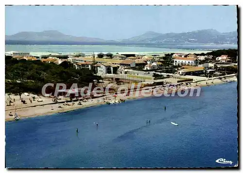 Cartes postales moderne Hyeres Les Palmiers Vue Aerienne La Bergerie