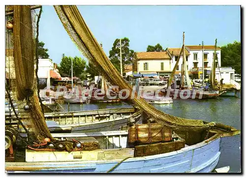 Cartes postales moderne Hyeres Les Palmiers Le Port Des Salins