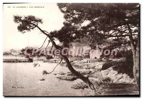 Cartes postales Le Lavandou Vue Generale