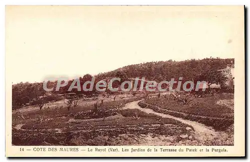 Cartes postales Le Rayol Les Jardins De La Terrasse Du Patek Et La Pergola