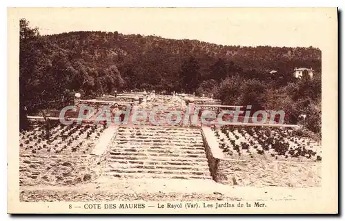 Ansichtskarte AK Le Rayol Les Jardins De la Mer