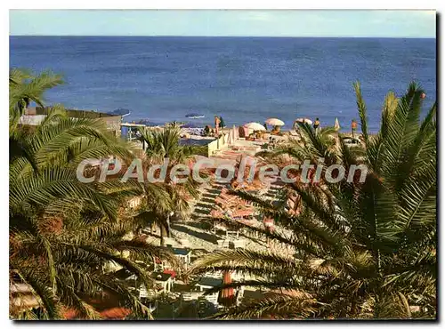 Cartes postales moderne St Tropez Palmiers Sur La Plage De Tahiti