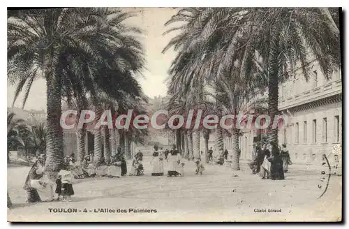 Cartes postales Toulon L'Allee Des Palmiers