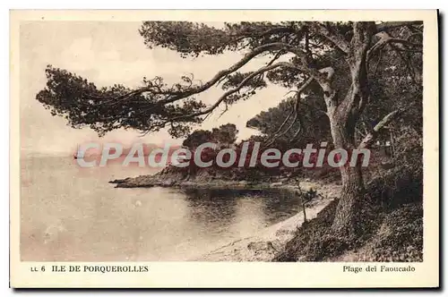 Cartes postales Ile De Porquerolles Plage De� Faoucado