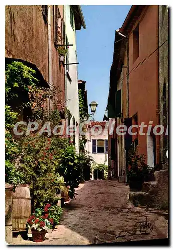 Cartes postales moderne Ramatuelle La Rue Des Sarrasins