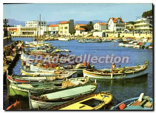 Cartes postales moderne Les Sablettes Le Port De Saint Elme