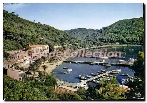 Cartes postales moderne Ile De Port Cros Le Port Le Hameau Des p�cheurs hostellerie hotel du manoir